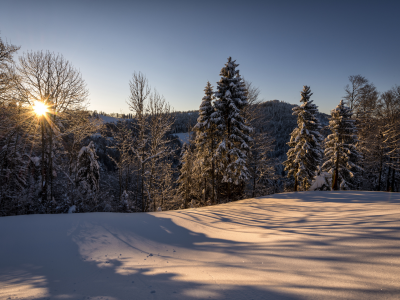 швейцария, hulftegg, зима, утро, природа, санкт-галлен
