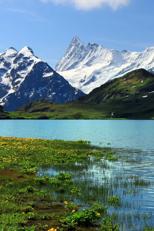 горы, Switzerland, гринднльвальд, берн, bern, швейцария, grindelwalt