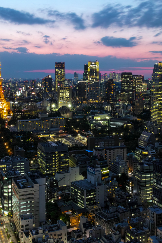 токио, мегаполис, япония, capital, огни, столица, tokyo, Japan