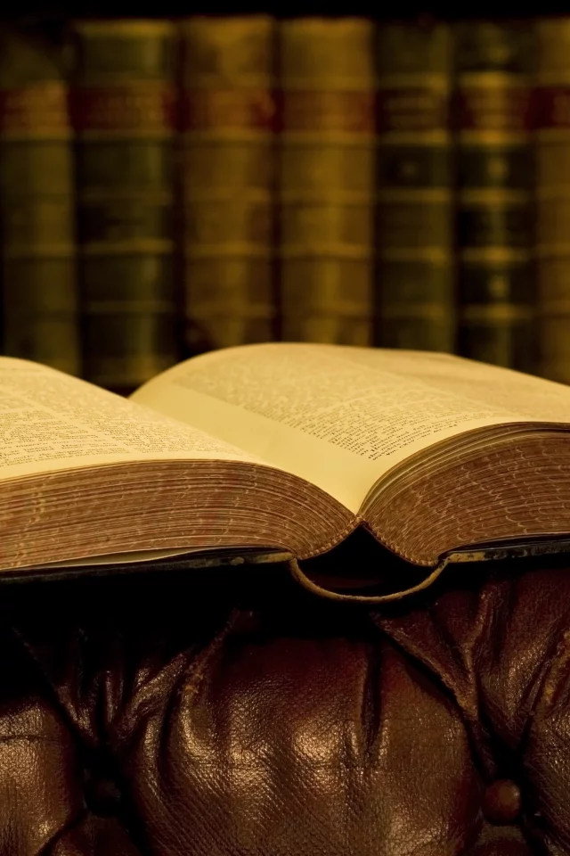 лежит, диван, библиотека, книга