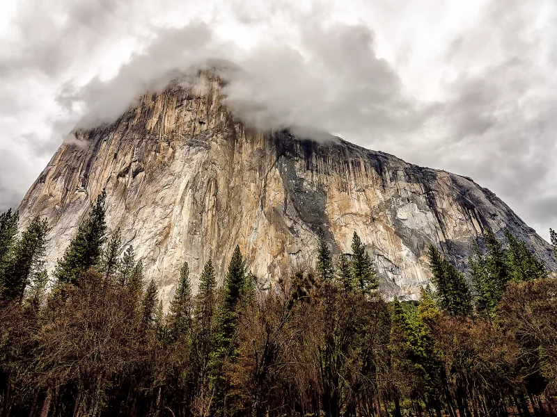 trees, california, mountain, rock, yosemite national park, clouds, sky, Usa, сша