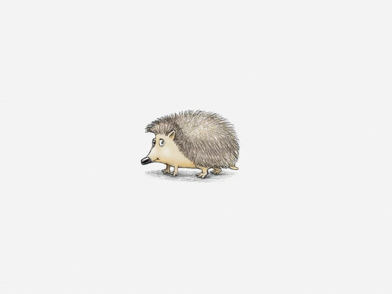 еж, белый фон, Ежик, hedgehog, минимализм
