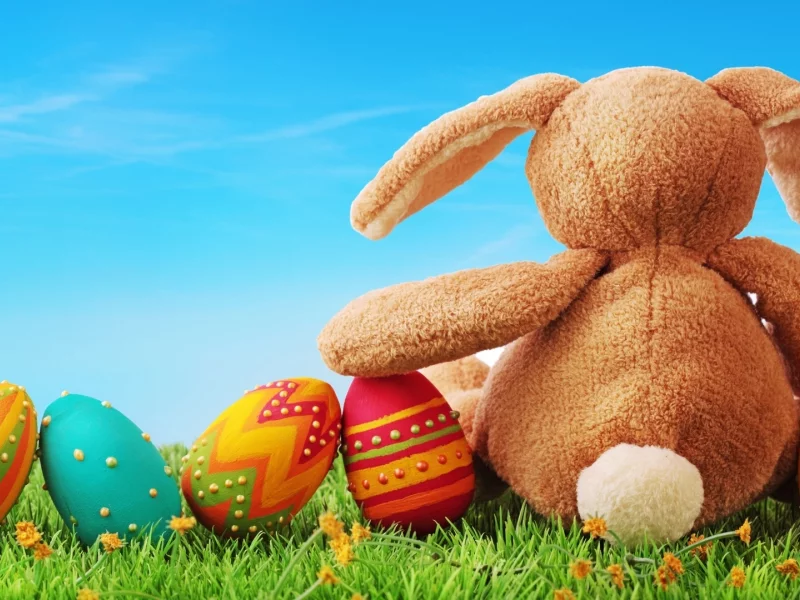Праздник, игрушка, кролик, easter, плюшевый, яйца, пасха