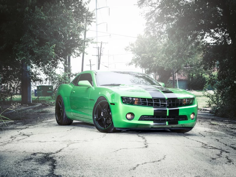 Chevrolet, авто, деревья, машины, тюнинг, трава, camaro
