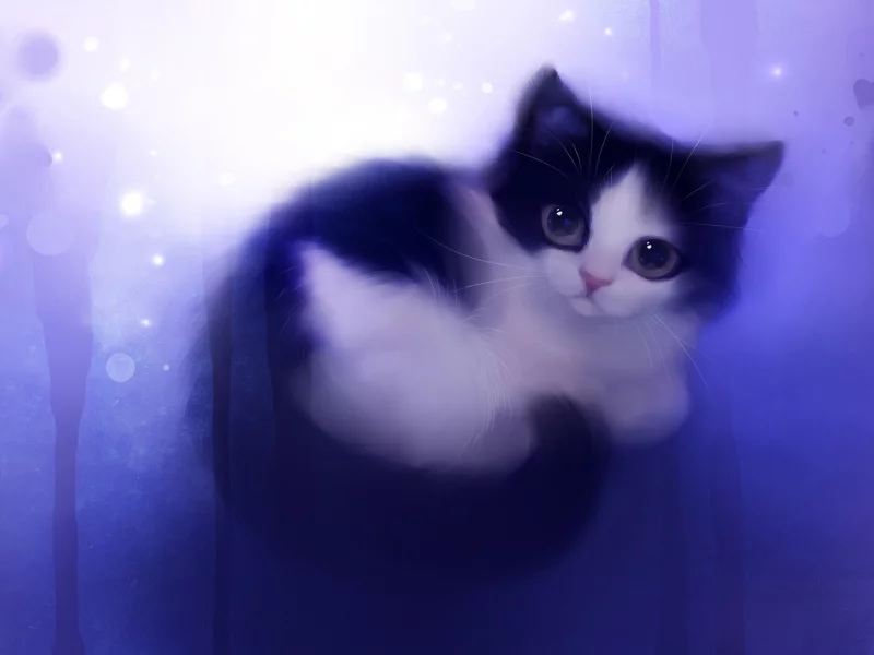 милый, котик
