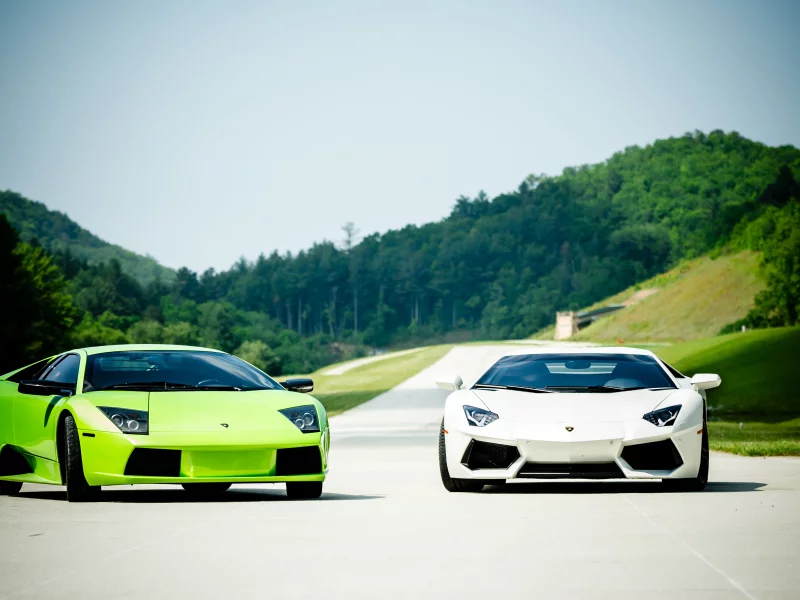 aventador, lp640, murcielago, white, lp700-4, lamborghini, ламборгини, green