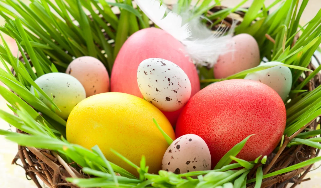куриные, easter, пасхальные, яйца, пасха, весна, праздник