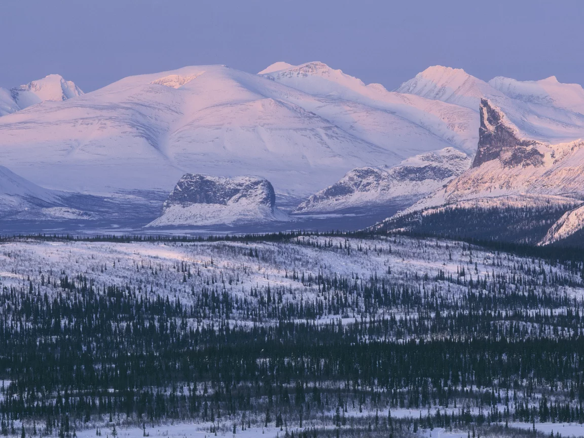 лапландия, швеция, sarek national park, lapland, sweden, горы