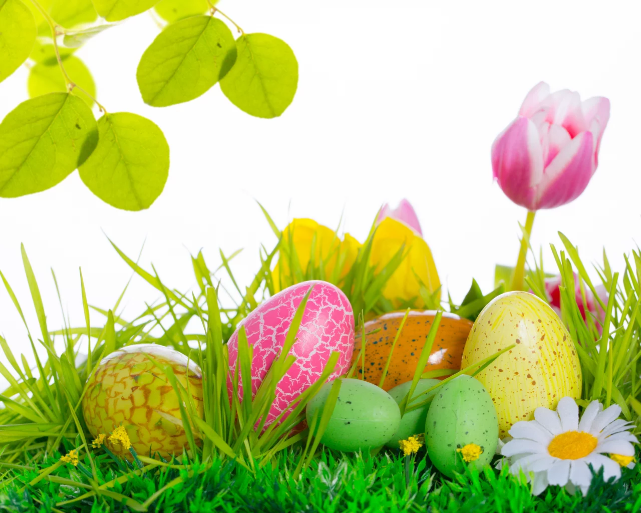 easter, тюльпаны, яйца, цветы, пасха