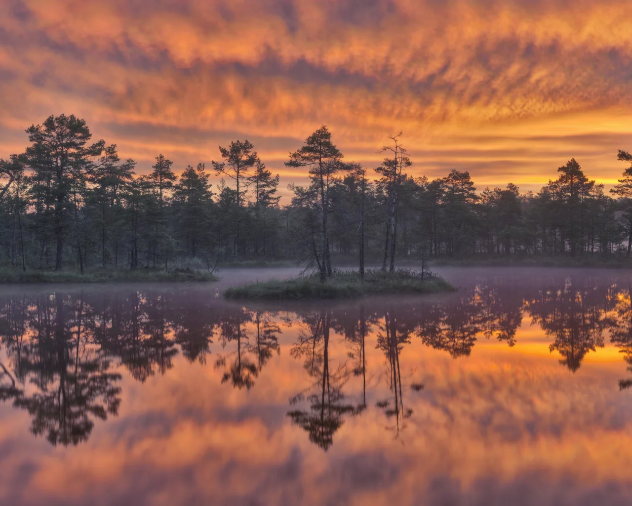 sweden, швеция, деревья, dawn, knuth__jdsmossen wetland, озеро