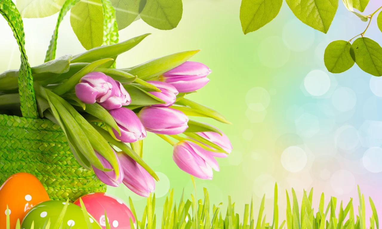 easter, трава, весна, листья, яиц, цветы, тюльпаны, пасха