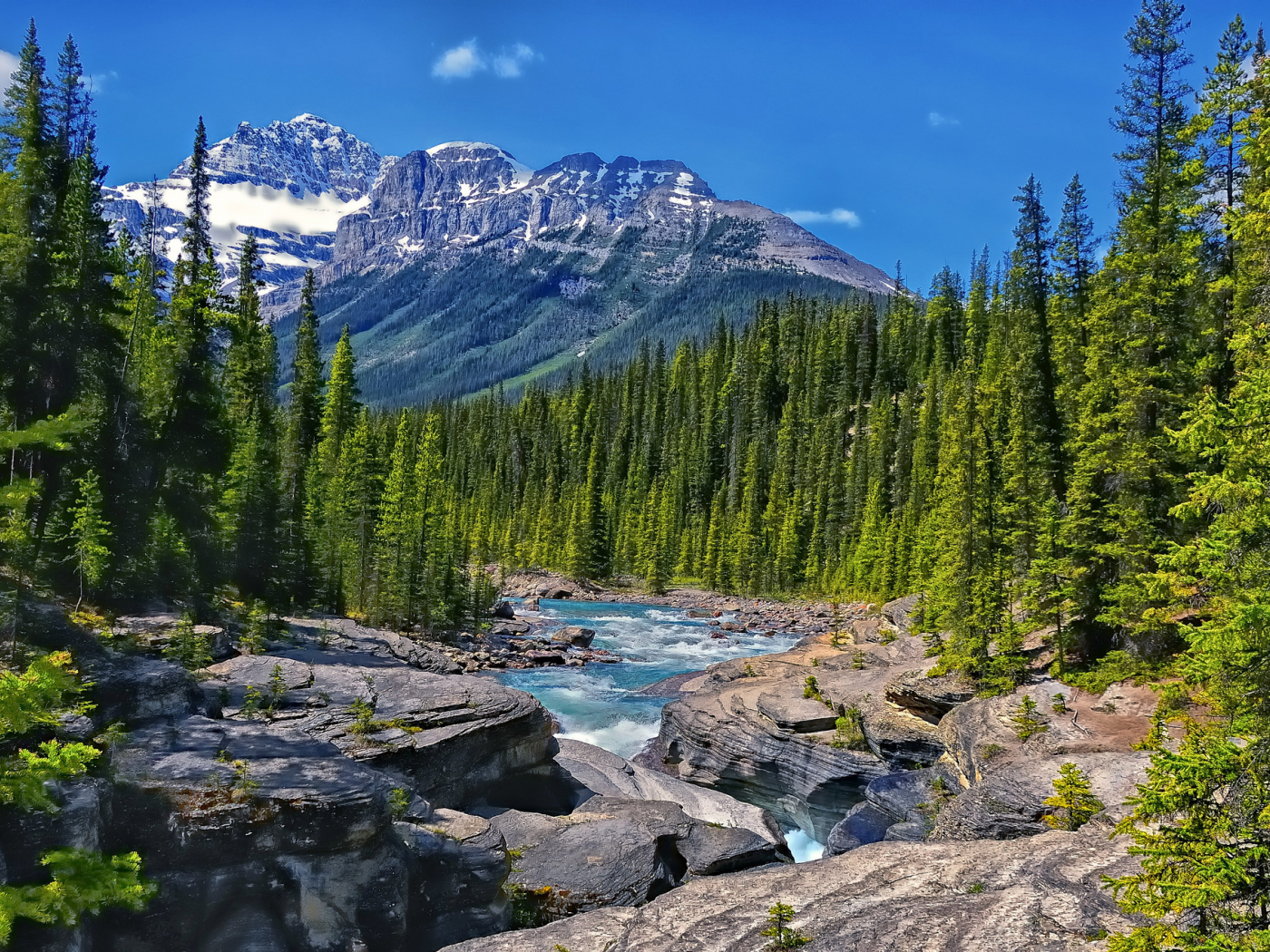 canada, alberta, горы, река, лес, mistaya river, канада, альберта