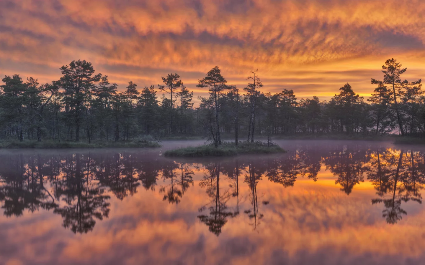 sweden, швеция, деревья, dawn, knuth__jdsmossen wetland, озеро