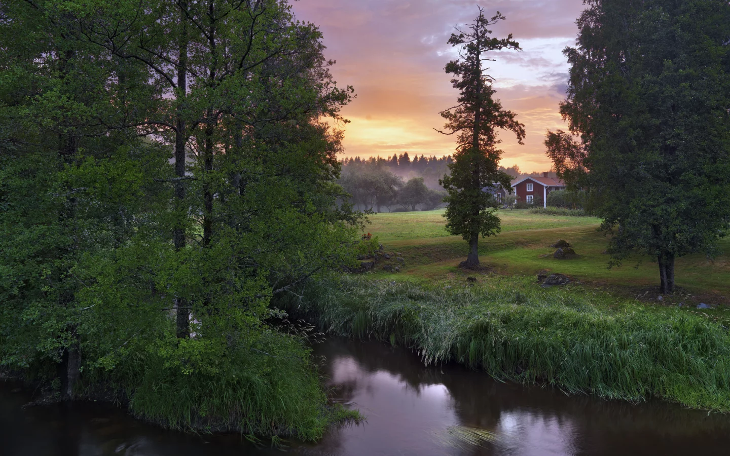 река, деревья, stock__s, n__rke, швеция, sweden