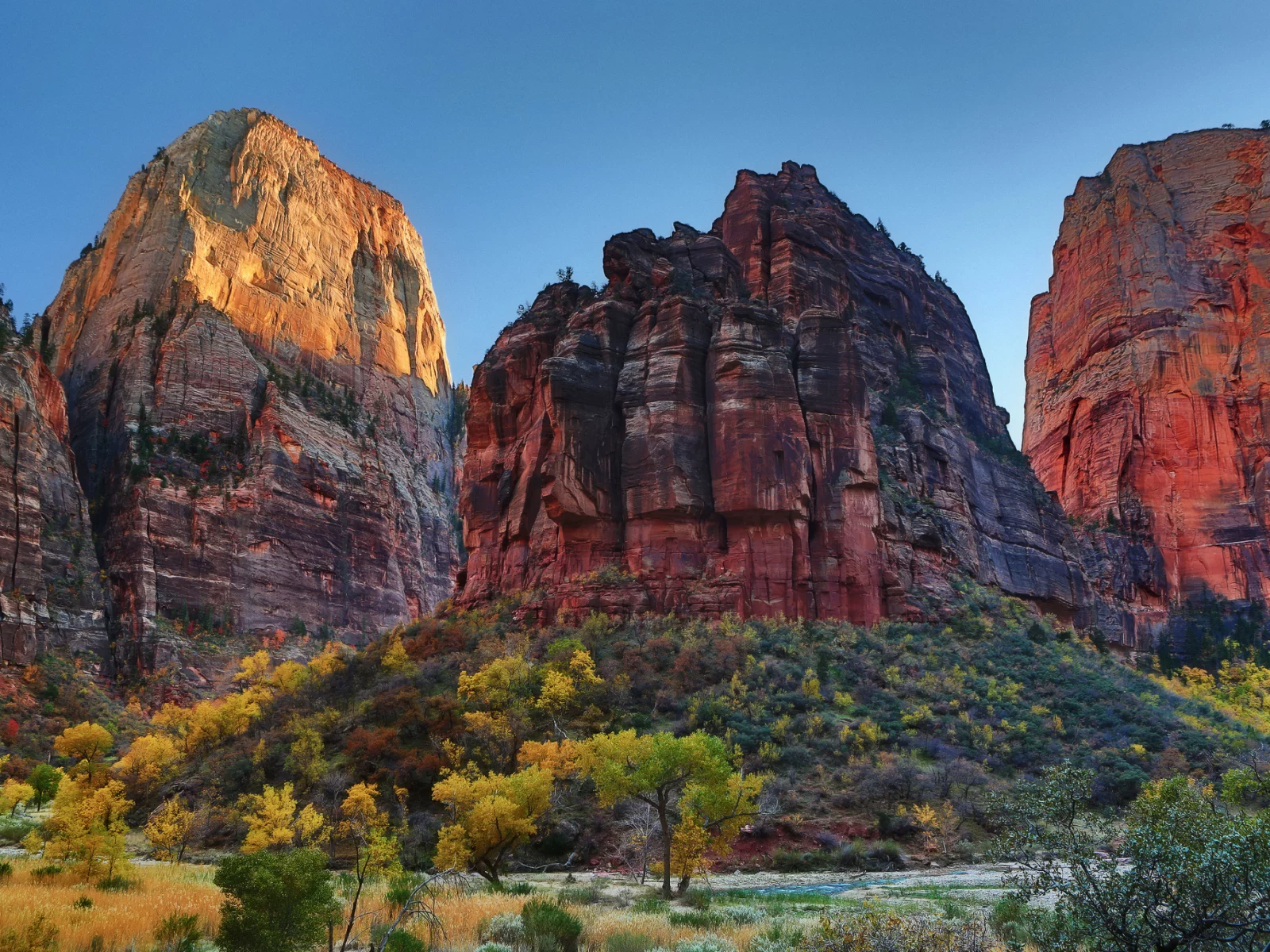 осень, небо, кусты, деревья, скалы, сша, природа