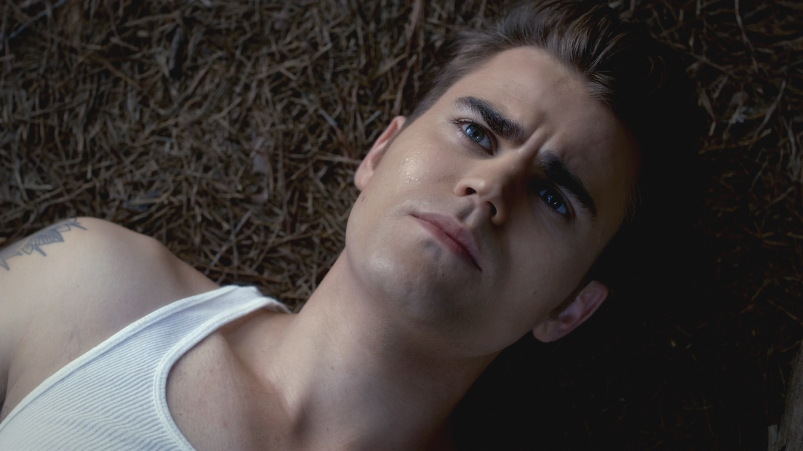 сериал, the vampire diaries, дневники вампира, paul wesley, пол уэсли