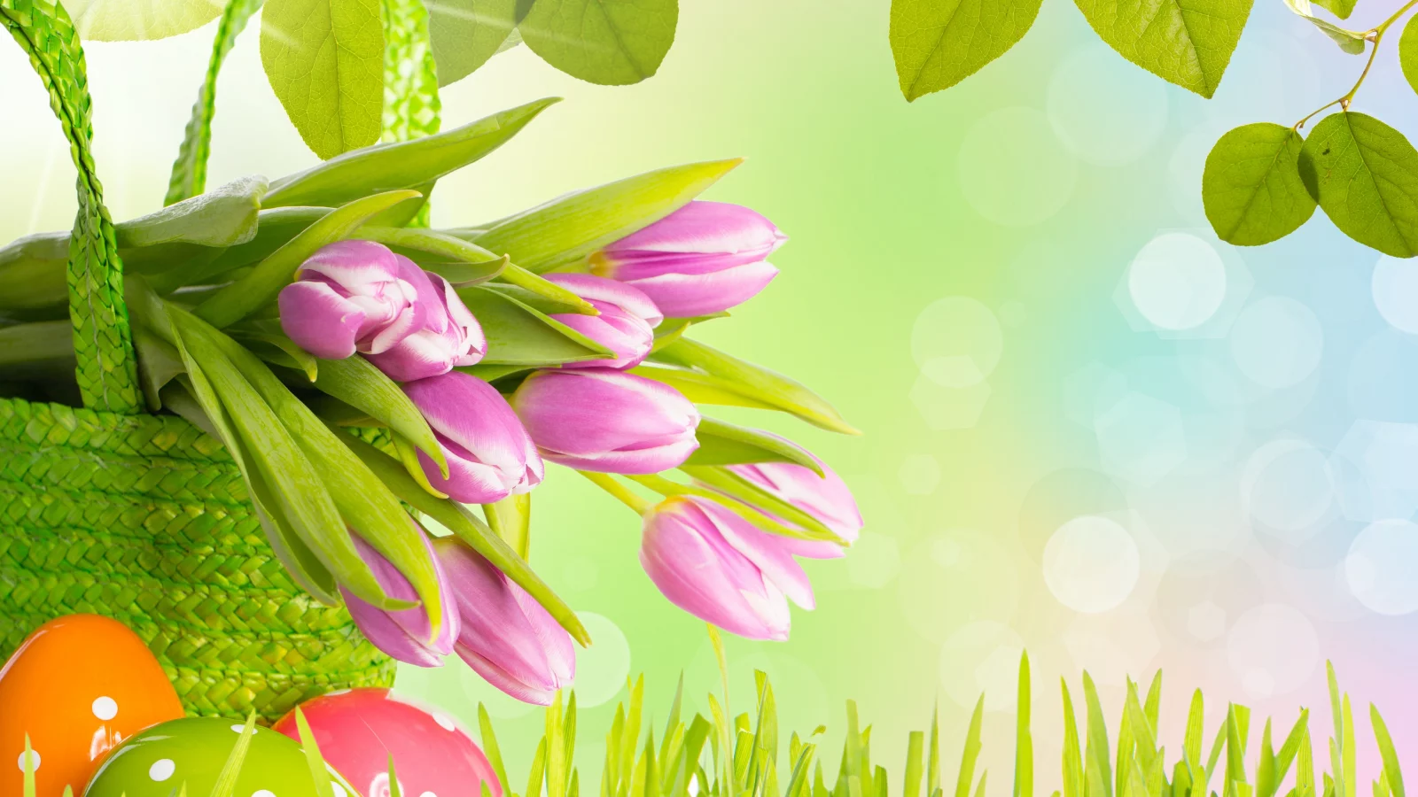 easter, трава, весна, листья, яиц, цветы, тюльпаны, пасха
