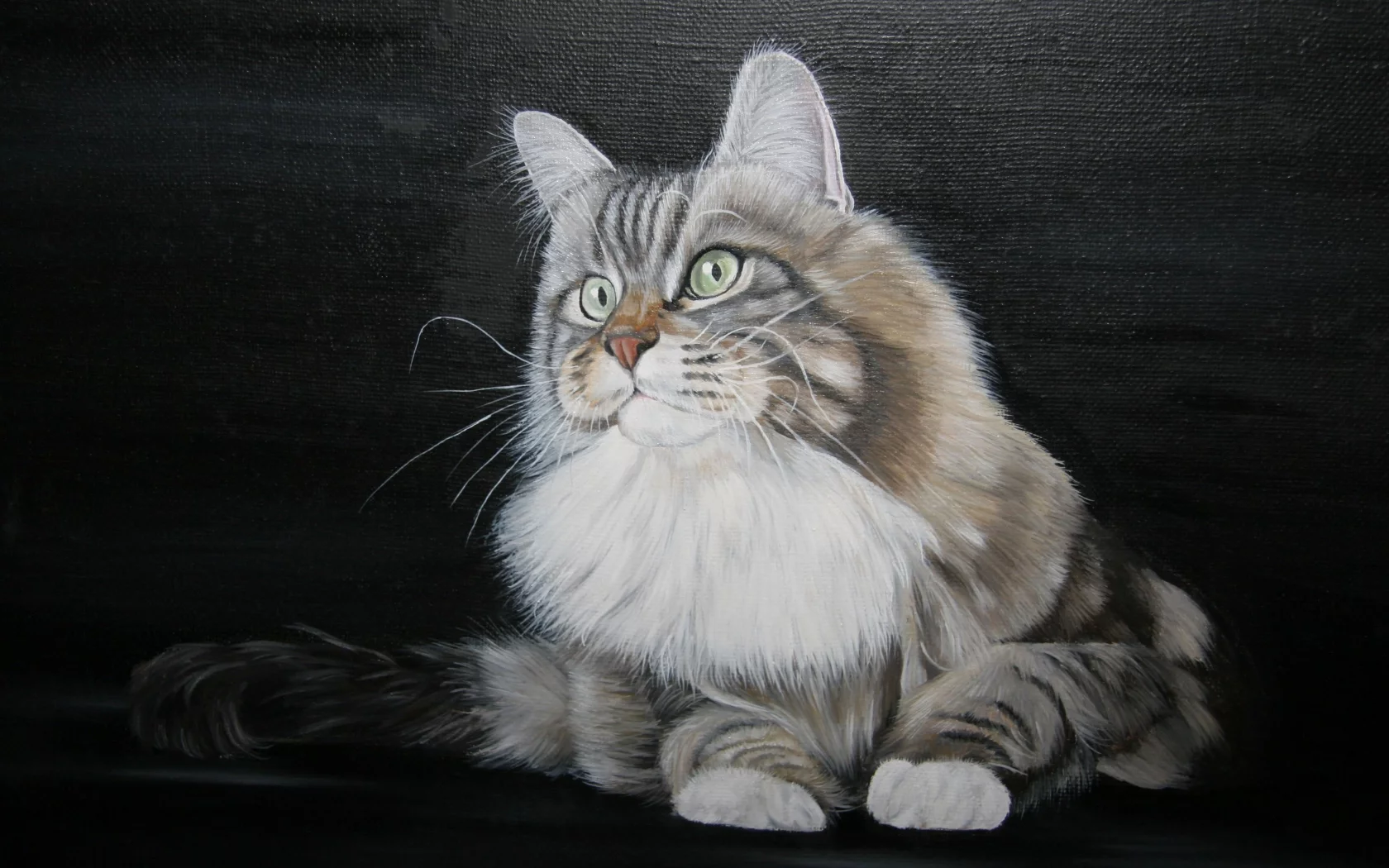 живопись, painting, кот, арт, зеленоглазый, картина, котяра