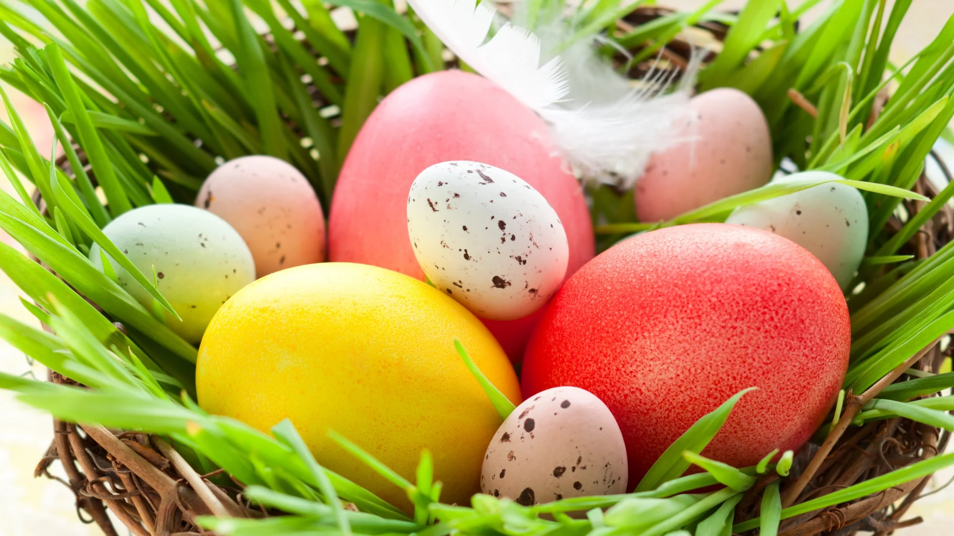 куриные, easter, пасхальные, яйца, пасха, весна, праздник