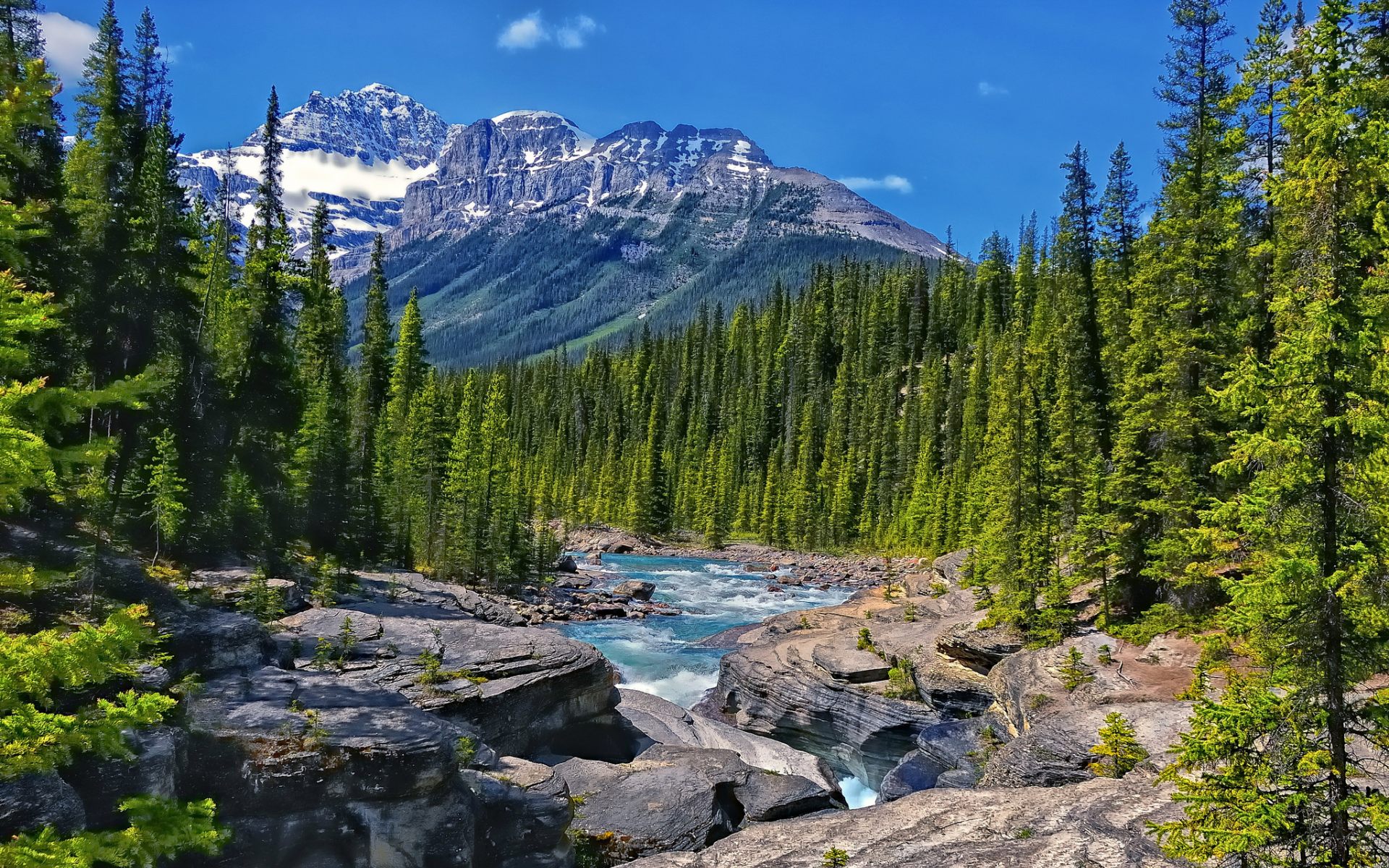 canada, alberta, горы, река, лес, mistaya river, канада, альберта