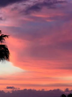 облака, tenerife, sunset, краски, закат, тенерифе, небо, пальма