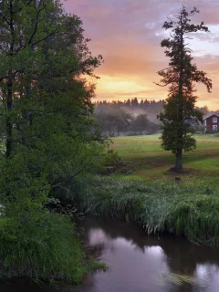река, деревья, stock__s, n__rke, швеция, sweden