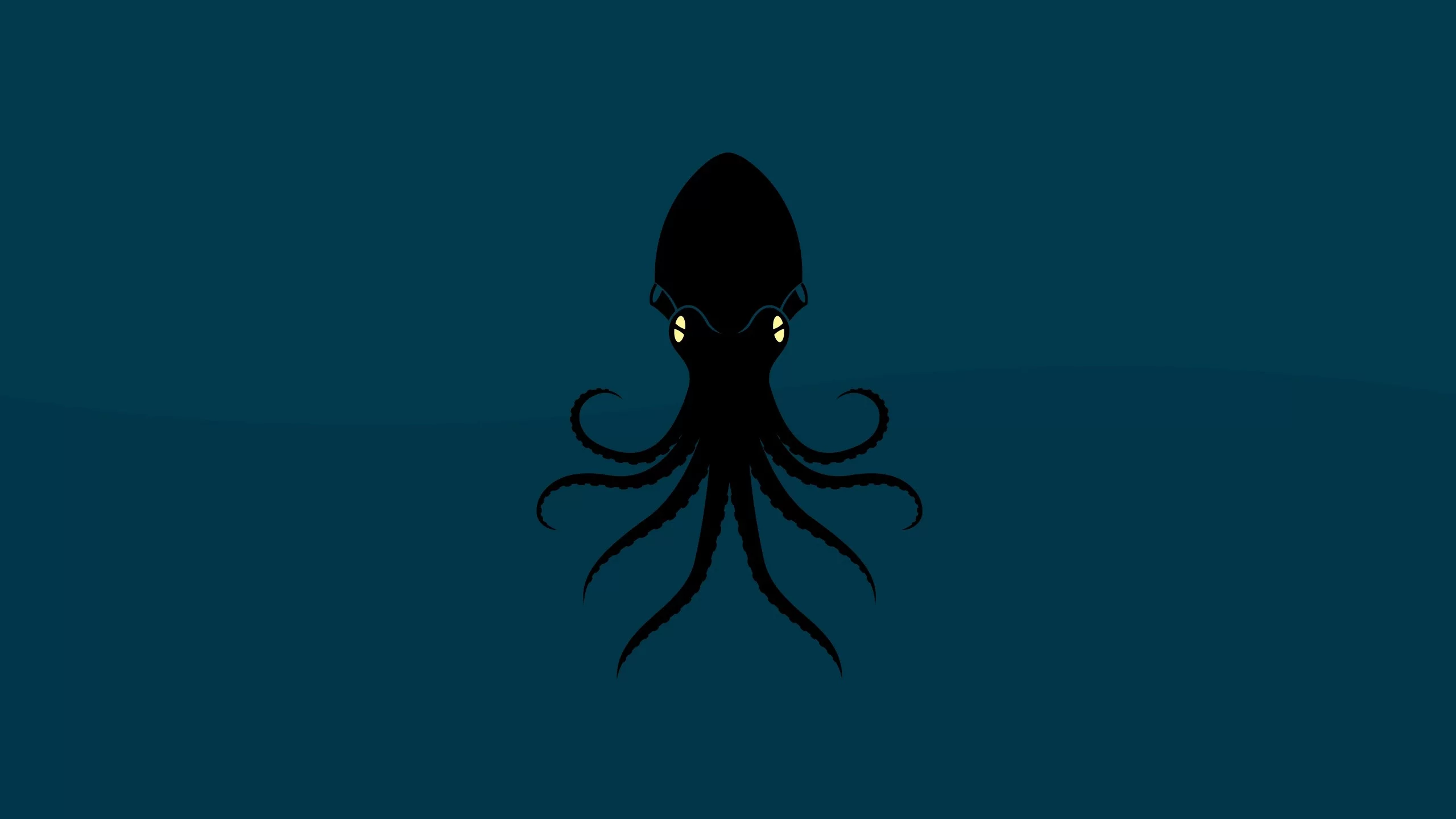 осьминог, животное, octopus
