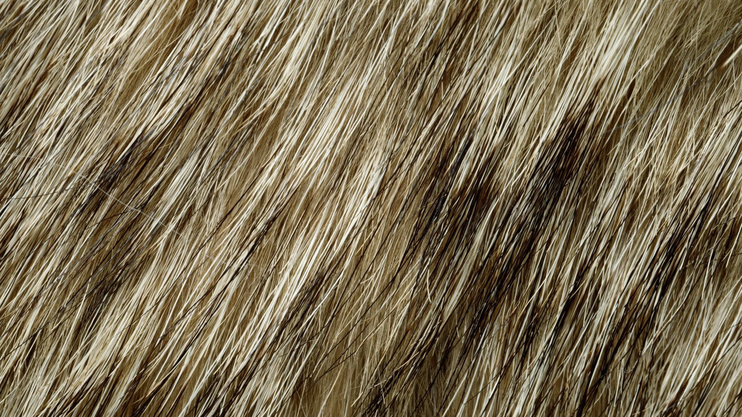 мех, фон на рабочий, animal texture, текстура