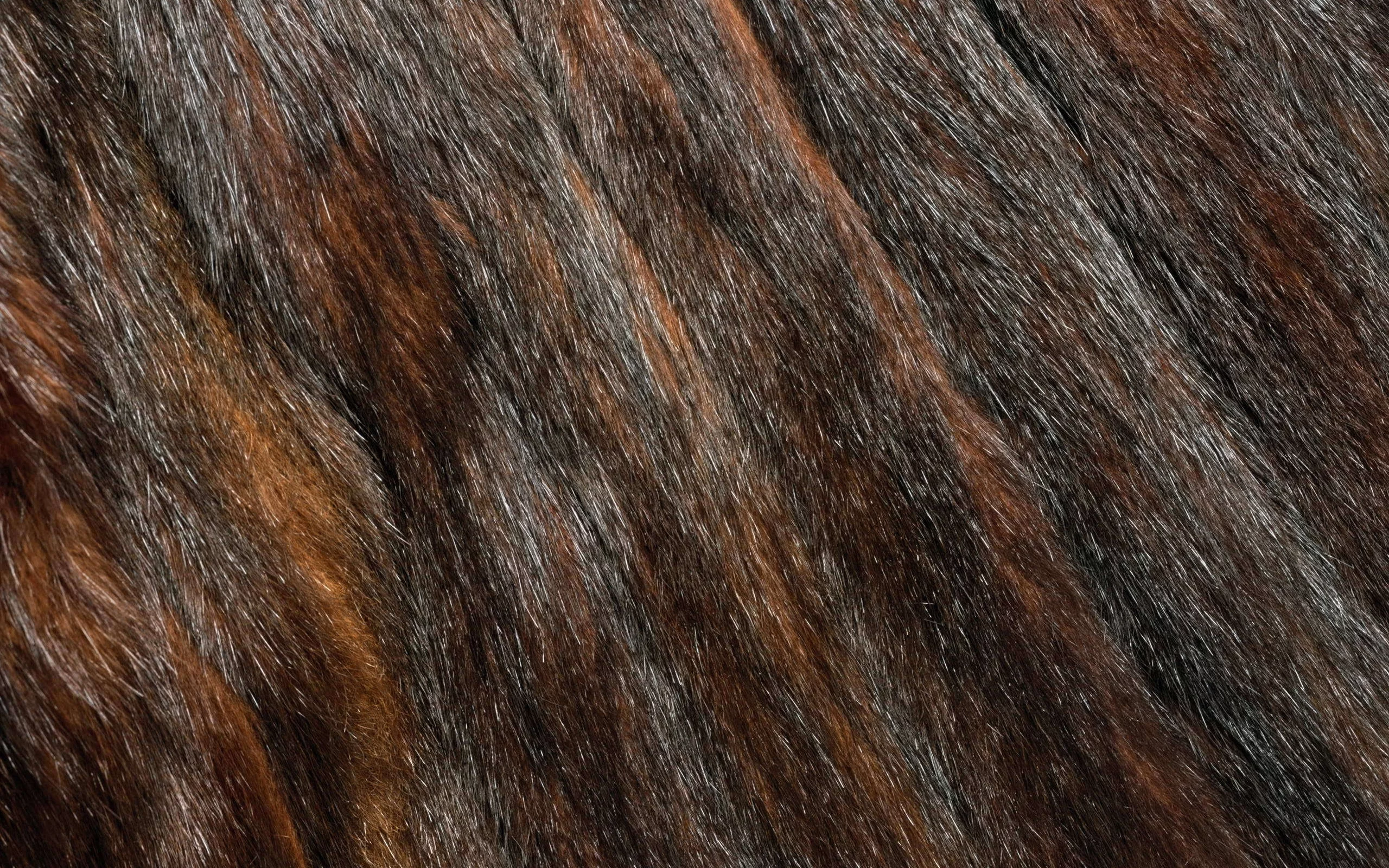 animal texture, фон на рабочий, мех, текстура