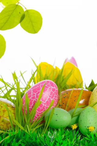 easter, тюльпаны, яйца, цветы, пасха