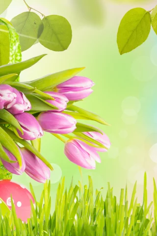 easter, трава, весна, листья, яиц, цветы, тюльпаны, пасха