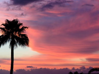 облака, tenerife, sunset, краски, закат, тенерифе, небо, пальма