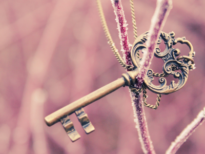 зима, ключ, ветка, розовый. красивый, настроения, фон