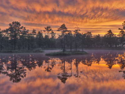 sweden, швеция, деревья, dawn, knuth__jdsmossen wetland, озеро