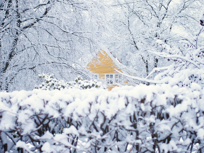 зима, снег, дом, осло, норвегия, деревья