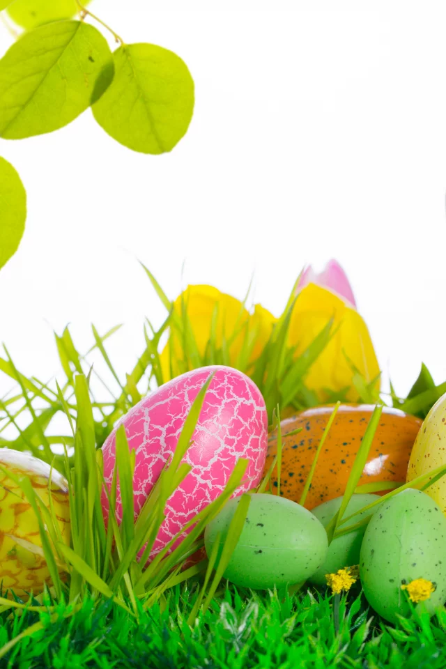 easter, тюльпаны, яйца, цветы, пасха