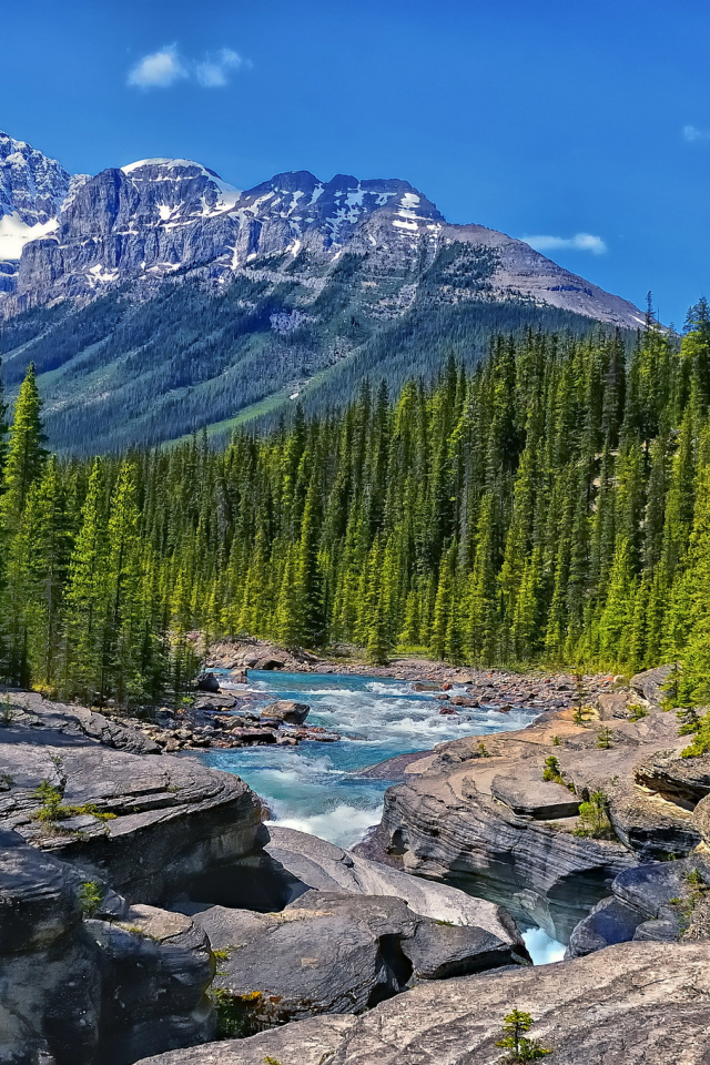 canada, alberta, горы, река, лес, mistaya river, канада, альберта