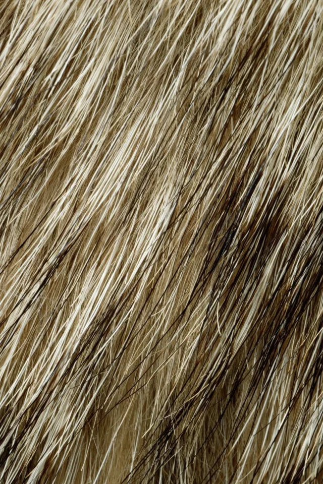 мех, фон на рабочий, animal texture, текстура