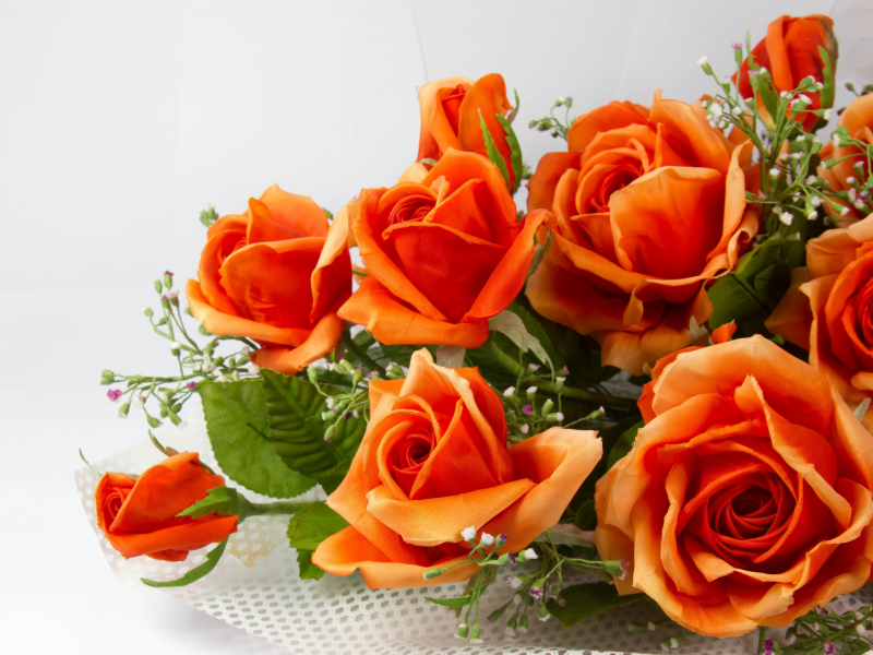 букет, розы, rose, оранжевый, цвет, цветы, flowers
