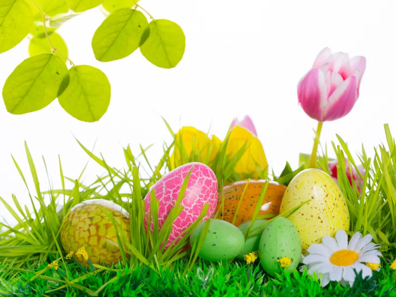 easter, тюльпаны, яйца, цветы, пасха