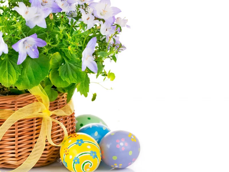 пасха, easter, цветы, яйца