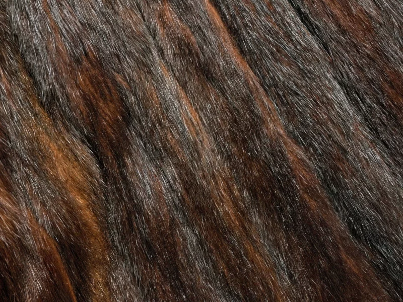 animal texture, фон на рабочий, мех, текстура