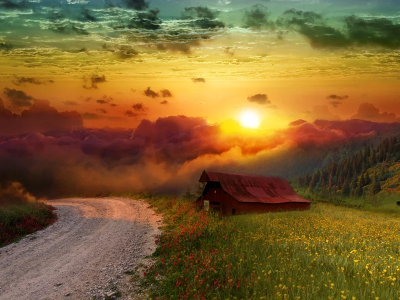 пейзаж, домик, цветы, природа, поляна