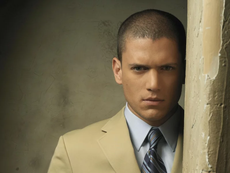 wentworth miller, актер, мужчина, взгляд