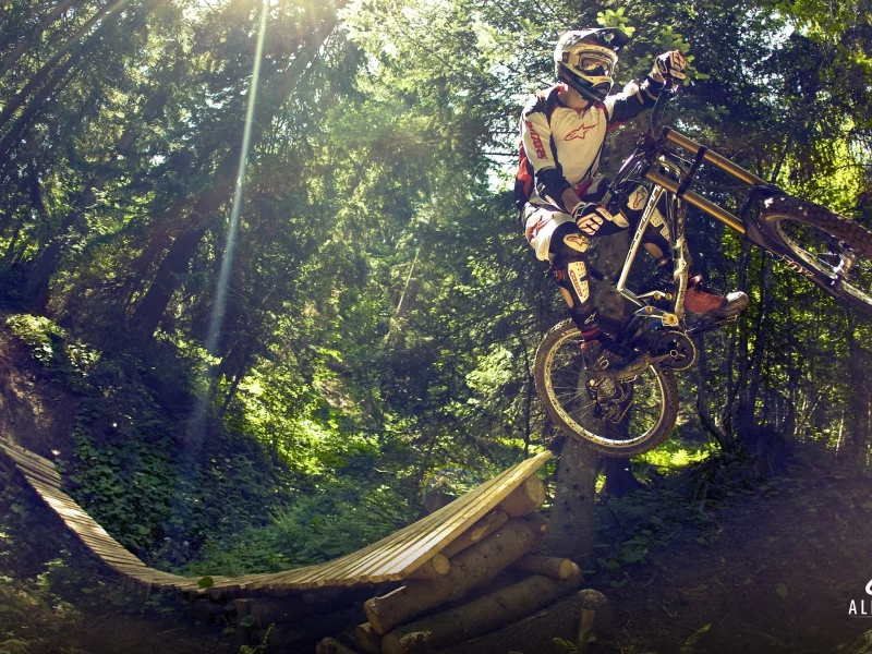 downhill, freeride, mtb, велосипед