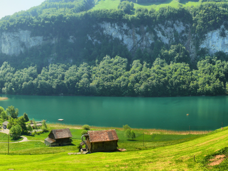 швейцария, домики, switzerland, поляна, трава, река, горы