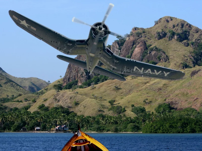 bird, corsair, f4u, истребитель, побережье, арт, cage, самолет