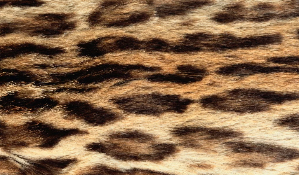 фон на рабочий, мех, текстура, animal texture