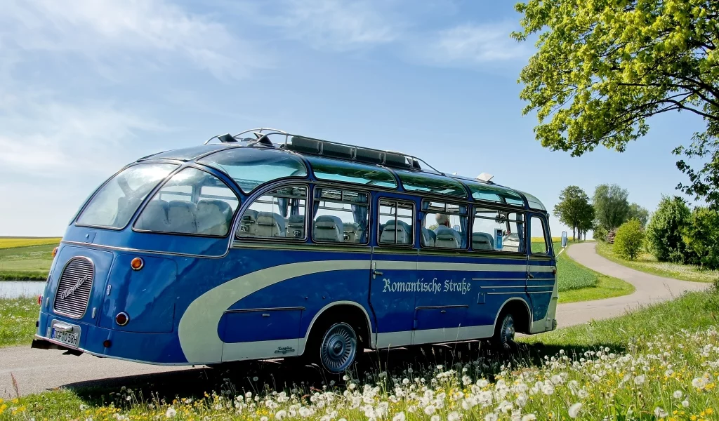 одуванчики, синий, трава, nh, дорога, неоплан, bus, 67, цветы, neoplan, автобус, дерево, небо