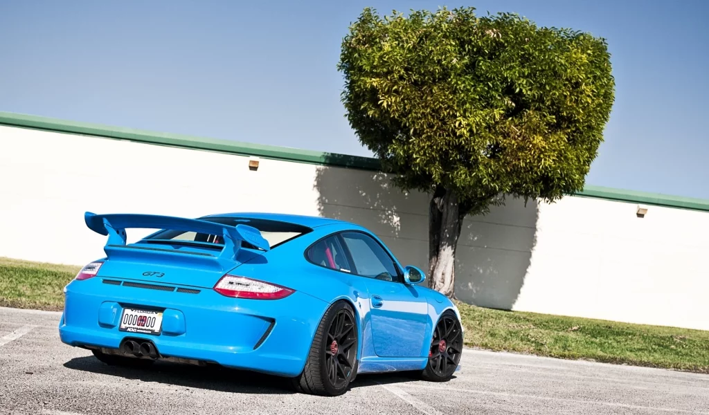 tuning, порше, суперкар, тюнинг, небо, голубой, gt3, забор, гт3, porsche, вид сзади, дерево, 911
